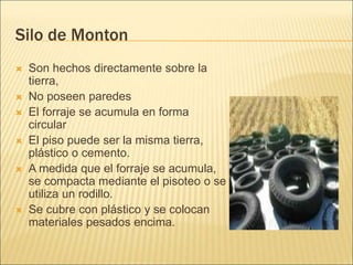 Silo de Monton
 Son hechos directamente sobre la
tierra,
 No poseen paredes
 El forraje se acumula en forma
circular
 El piso puede ser la misma tierra,
plástico o cemento.
 A medida que el forraje se acumula,
se compacta mediante el pisoteo o se
utiliza un rodillo.
 Se cubre con plástico y se colocan
materiales pesados encima.
 