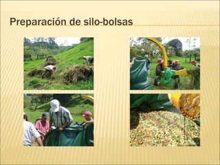 Preparación de silo-bolsas
 