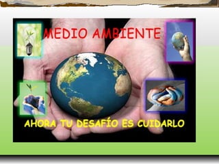 Conservacion del medio ambiente