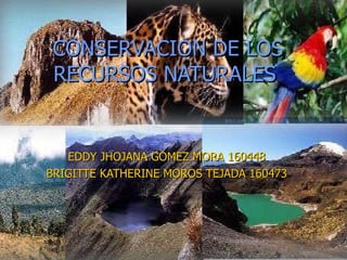 CONSERVACION DE LOS RECURSOS NATURALES   EDDY JHOJANA GOMEZ MORA 160448 BRIGITTE KATHERINE MOROS TEJADA 160473 