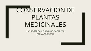 CONSERVACION DE
PLANTAS
MEDICINALES
LIC. ROGER CARLOS CONDO BACAREZA
FARMACOGNOSIA
 
