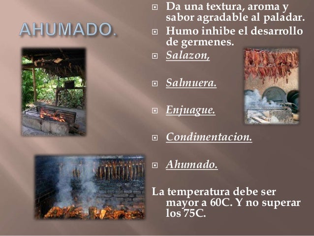 CONSERVACION AHUMADO, SALADO SECADO AL SOL
