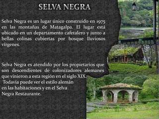 SELVA NEGRA<br />Selva Negra es un lugar único construido en 1975 en las montañas de Matagalpa. El lugar está ubicado en u...