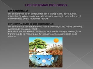 LOS SISTEMAS BIOLOGICO:
LOS ECOSISTEMAS:
Los ecosistemas están compuestos por el biotopo(aire, agua, suelos,
minerales...)y la biocenosis(seres vivos)donde la energía se transforma al
mismo tiempo que la materia se recicla.

FUNCIONAMIENTO DE LOS ECOSISTEMAS:
Los ecosistemas necesitan de una fuente de energía y la fuente primera y
principal de energía es el sol.
En todos los ecosistemas la materia se recicla mientras que la energía se
transforma de tal manera que fluye regenerando organización en el
sistema.
 