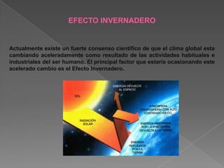 EFECTO INVERNADERO


Actualmente existe un fuerte consenso científico de que el clima global esta
cambiando aceleradamente como resultado de las actividades habituales e
industriales del ser humano. El principal factor que estaría ocasionando este
acelerado cambio es el Efecto Invernadero.
 
