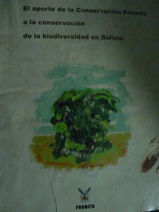 El aporte de la conservación privada a la conservación de la biodiversidad en Bolivia, 2006