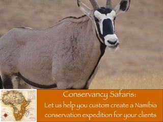 Conservancy Safaris:  Let us help you custom create a Namibia conservation expedition for your clients 