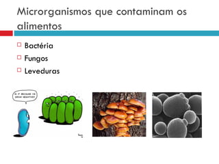 Microrganismos que contaminam os alimentos Bactéria  Fungos Leveduras 