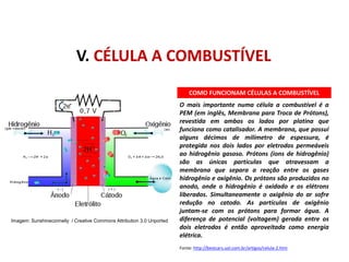 COMO FUNCIONAM CÉLULAS A COMBUSTÍVEL
O mais importante numa célula a combustível é a
PEM (em inglês, Membrana para Troca de Prótons),
revestida em ambos os lados por platina que
funciona como catalisador. A membrana, que possui
alguns décimos de milímetro de espessura, é
protegida nos dois lados por eletrodos permeáveis
ao hidrogênio gasoso. Prótons (íons de hidrogênio)
são as únicas partículas que atravessam a
membrana que separa a reação entre os gases
hidrogênio e oxigênio. Os prótons são produzidos no
anodo, onde o hidrogênio é oxidado e os elétrons
liberados. Simultaneamente o oxigênio do ar sofre
redução no catodo. As partículas de oxigênio
juntam-se com os prótons para formar água. A
diferença de potencial (voltagem) gerada entre os
dois eletrodos é então aproveitada como energia
elétrica.
Fonte: http://bestcars.uol.com.br/artigos/celula-2.htm
V. CÉLULA A COMBUSTÍVEL
FÍSICA, 1º Ano do Ensino Médio
Conservação da Energia
Imagem: Sunshineconnelly / Creative Commons Attribution 3.0 Unported
 
