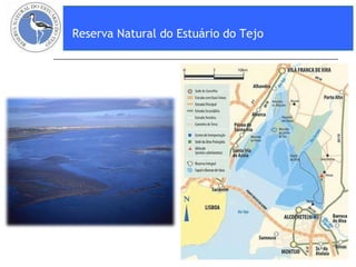 Reserva Natural do Estuário do Tejo   