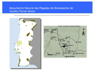 Monumento Natural das Pegadas de Dinossáurios de Ourém/Torres Novas  
