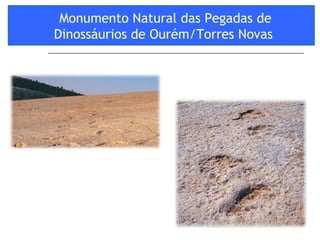 Monumento Natural das Pegadas de Dinossáurios de Ourém/Torres Novas  