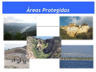 Áreas Protegidas 