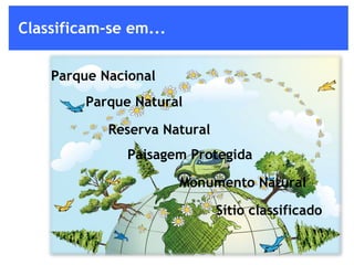 Parque Nacional Paisagem Protegida Parque Natural Reserva Natural Monumento Natural Classificam-se em... Sítio classificado 