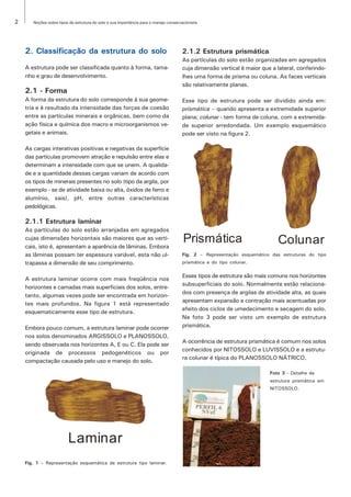 2      Noções sobre tipos de estrutura do solo e sua importância para o manejo conservacionista




    2. Classificação da estrutura do solo                                             2.1.2 Estrutura prismática
                                                                                      As partículas do solo estão organizadas em agregados
    A estrutura pode ser classificada quanto à forma, tama-                           cuja dimensão vertical é maior que a lateral, conferindo-
    nho e grau de desenvolvimento.                                                    lhes uma forma de prisma ou coluna. As faces verticais
                                                                                      são relativamente planas.
    2.1 - Forma
    A forma da estrutura do solo corresponde à sua geome-                             Esse tipo de estrutura pode ser dividido ainda em:
    tria e é resultado da intensidade das forças de coesão                            prismática – quando apresenta a extremidade superior
    entre as partículas minerais e orgânicas, bem como da                             plana; colunar - tem forma de coluna, com a extremida-
    ação física e química dos macro e microorganismos ve-                             de superior arredondada. Um exemplo esquemático
    getais e animais.                                                                 pode ser visto na figura 2.

    As cargas interativas positivas e negativas da superfície
    das partículas promovem atração e repulsão entre elas e
    determinam a intensidade com que se unem. A qualida-
    de e a quantidade dessas cargas variam de acordo com
    os tipos de minerais presentes no solo (tipo da argila, por
    exemplo - se de atividade baixa ou alta, óxidos de ferro e
    alumínio, sais), pH, entre outras características
    pedológicas.

    2.1.1 Estrutura laminar
    As partículas do solo estão arranjadas em agregados
    cujas dimensões horizontais são maiores que as verti-
    cais, isto é, apresentam a aparência de lâminas. Embora
                                                                                       Prismática                          Colunar
    as lâminas possam ter espessura variável, esta não ul-                            Fig. 2 – Representação esquemático das estruturas do tipo
    trapassa a dimensão de seu comprimento.                                           prismática e do tipo colunar.

                                                                                      Esses tipos de estrutura são mais comuns nos horizontes
    A estrutura laminar ocorre com mais freqüência nos
                                                                                      subsuperficiais do solo. Normalmente estão relaciona-
    horizontes e camadas mais superficiais dos solos, entre-
                                                                                      dos com presença de argilas de atividade alta, as quais
    tanto, algumas vezes pode ser encontrada em horizon-
                                                                                      apresentam expansão e contração mais acentuadas por
    tes mais profundos. Na figura 1 está representado
                                                                                      efeito dos ciclos de umedecimento e secagem do solo.
    esquematicamente esse tipo de estrutura.
                                                                                      Na foto 3 pode ser visto um exemplo de estrutura
    Embora pouco comum, a estrutura laminar pode ocorrer                              prismática.
    nos solos denominados ARGISSOLO e PLANOSSOLO,
                                                                                      A ocorrência de estrutura prismática é comum nos solos
    sendo observada nos horizontes A, E ou C. Ela pode ser
                                                                                      conhecidos por NITOSSOLO e LUVISSOLO e a estrutu-
    originada de processos pedogenéticos ou por
                                                                                      ra colunar é típica do PLANOSSOLO NÁTRICO.
    compactação causada pelo uso e manejo do solo.
                                                                                                                        Foto 3 - Detalhe de
                                                                                                                        estrutura prismática em
                                                                                                                        NITOSSOLO.




                         Laminar
    Fig. 1 – Representação esquemática de estrutura tipo laminar.
 