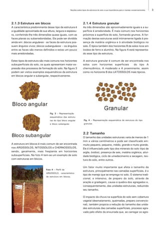 Noções sobre tipos de estrutura do solo e sua importância para o manejo conservacionista   3




2.1.3 Estrutura em blocos                                           2.1.4 Estrutura granular
A característica predominante desse tipo de estrutura é             As três dimensões são aproximadamente iguais e a su-
a igualdade aproximada de sua altura, largura e espessu-            perfície é arredondada. É mais comum nos horizontes
ra, conferindo-lhe três dimensões quase iguais, com as              próximos a superfície do solo, formando grumos. A for-
faces planas ou subarredondadas. Ela pode ser dividida              mação destas estruturas está intimamente ligada à pre-
ainda em: blocos angulares - as faces da estrutura pos-             sença de matéria orgânica e à atividade biológica no
suem ângulos vivos; blocos subangulares – os ângulos                solo. É típica também dos horizontes B de solos ricos em
entre as faces são menos definidos e estas um pouco                 óxidos de ferro e alumínio. Na figura 4 está representa-
mais arredondadas.                                                  do esse tipo de estrutura.

Estes tipos de estrutura são mais comuns nos horizontes             A estrutura granular é comum de ser encontrada nos
subsuperficiais do solo, os quais apresentam maior ex-              solos com horizontes superficiais      do tipo A
pressão dos processos de formação do solo. Na figura 3              chernozêmico, A moderado e A proeminente, assim
podem ser vistos exemplos esquemáticos da estrutura                 como no horizonte B dos LATOSSOLOS mais típicos.
em blocos angular e subangular, respectivamente.




Bloco angular
                                Fig. 3 – Representação
                                esquemática das estrutu-
                                ras do tipo bloco angular            Fig. 4 – Representação esquemática de estrutura do tipo
                                e bloco subangular.                  granular.



                                                                    2.2 Tamanho
Bloco subangular                                                    O tamanho das unidades estruturais varia de menos de 1
                                                                    mm a vários centímetros e pode ser classificado em:
A estrutura em blocos é mais comum de ser encontrada                muito pequeno, pequeno, médio, grande e muito grande.
nos ARGISSOLOS, NITOSSOLOS e CHERNOSSOLOS,                          Ele é influenciado pelo tipo dos minerais do solo (tipo de
sendo, geralmente, mais freqüente em horizontes                     argila, óxidos), presença de sais, matéria orgânica, ativi-
subsuperficiais. Na foto 4 tem-se um exemplo de solo                dade biológica, ciclo de umedecimento e secagem, tex-
com estruturas em blocos.                                           tura do solo, entre outros.

                                                                    Um fator muito importante que afeta o tamanho da
                             Foto 4 – Perfil de
                                                                    estrutura, principalmente nas camadas superficiais, é o
                             ARGISSOLO, característico
                                                                    tipo de manejo que se emprega no solo. O sistema tradi-
                             de estrutura em blocos.
                                                                    cional, e intensivo, de preparo do solo, através de
                                                                    aração e gradagem, causa a quebra dos agregados e,
                                                                    consequentemente, das unidades estruturais, reduzindo
                                                                    seu tamanho.

                                                                    O impacto da chuva na superfície do solo sem cobertura
                                                                    vegetal (desmatamento, queimadas, preparo convencio-
                                                                    nal), também propicia a redução do tamanho das unida-
                                                                    des estruturais das camadas superficiais, processo agra-
                                                                    vado pelo efeito da enxurrada que, ao carregar os agre-
 
