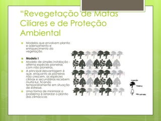 “Revegetação de Matas
Ciliares e de Proteção
Ambiental


Modelos que envolvem plantio
e adensamento e
enriquecimento da
vegetação.



Modelo I
Modelo de simples instalação alterna espécies pioneiras
com não pioneiras.
A principal desvantagem é
que, enquanto as pioneiras
não crescem, as espécies
clímax e secundárias recebem
muita luz, ficando
temporariamente em situação
de estresse.
Uma forma de minimizar o
problema é retardar o plantio
das climácicas







 