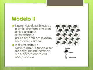 Modelo II




Nesse modelo as linhas de
plantio alternam primárias
e não primárias,
dificultando o
procedimento em relação
ao modelo anterior.
A distribuição do
sombreamento tende a ser
mais regular, melhorando
o desenvolvimento das
não-pioneiras.

 