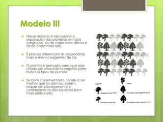 Modelo III


Nesse modelo é necessária a
separação das pioneiras em dois
subgrupos, as de copa mais densa e
as de copa mais rala.



É preciso diferenciar as secundárias
mais e menos exigentes de luz.



O plantio é pensado para que seja
criado um microclima propício para
todos os tipos de plantas.



Se bem implementado, tende a ser
melhor que os demais, porém,
requer um planejamento e
conhecimento das espécies bem
mais elaborado.

 