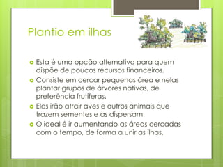 Plantio em ilhas






Esta é uma opção alternativa para quem
dispõe de poucos recursos financeiros.
Consiste em cercar pequenas área e nelas
plantar grupos de árvores nativas, de
preferência frutíferas.
Elas irão atrair aves e outros animais que
trazem sementes e as dispersam.
O ideal é ir aumentando as áreas cercadas
com o tempo, de forma a unir as ilhas.

 