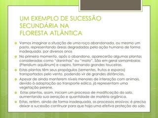 UM EXEMPLO DE SUCESSÃO
SECUNDÁRIA NA
FLORESTA ATLÂNTICA










Vamos imaginar a situação de uma roça abandonada, ou mesmo um
pasto, representando áreas degradadas pela ação humana de forma
inadequada, por diversos anos
No primeiro momento, após o abandono, aparecerão algumas plantas
consideradas como “daninhas” ou “mato”. São em geral samambaias
(Pteridium aquilinum) e capins, formando grandes touceiras.
Estas plantas têm seus propágulos (sementes, frutos e esporos)
transportados pelo vento, podendo vir de grandes distâncias.
Apesar de ainda manterem níveis menores de interação com animais,
devido à adaptação ao transporte eólico, já representam uma
vegetação perene.
Estas plantas, assim, iniciam um processo de modificação do solo,
aumentando sua aeração e quantidade de matéria orgânica.
Estas, retém, ainda de forma inadequada, os processos erosivos; é preciso
deixar a sucessão continuar para que haja uma efetiva proteção do solo.

 