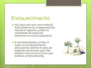 Enriquecimento


Há casos em que uma mata já
está presente ou a regeneração
natural é vigorosa, porém a
variedade de espécies
existentes no local é pequena.



A recomendação, então, é
fazer um enriquecimento,
procurando plantar mudas de
espécies de árvores que não
existem mais no local (mas que
existiam anteriormente).

 