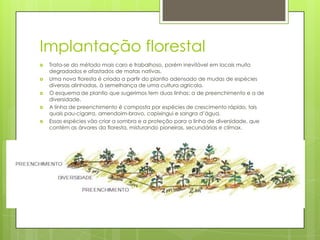 Implantação florestal






Trata-se do método mais caro e trabalhoso, porém inevitável em locais muito
degradados e afastados de matas nativas.
Uma nova floresta é criada a partir do plantio adensado de mudas de espécies
diversas alinhadas, à semelhança de uma cultura agrícola.
O esquema de plantio que sugerimos tem duas linhas: a de preenchimento e a de
diversidade.
A linha de preenchimento é composta por espécies de crescimento rápido, tais
quais pau-cigarra, amendoim-bravo, capixingui e sangra d’água.
Essas espécies vão criar a sombra e a proteção para a linha de diversidade, que
contém as árvores da floresta, misturando pioneiras, secundárias e clímax.

 