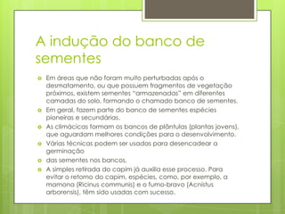 A indução do banco de
sementes








Em áreas que não foram muito perturbadas após o
desmatamento, ou que possuem fragmentos de vegetação
próximos, existem sementes “armazenadas” em diferentes
camadas do solo, formando o chamado banco de sementes.
Em geral, fazem parte do banco de sementes espécies
pioneiras e secundárias.
As climácicas formam os bancos de plântulas (plantas jovens),
que aguardam melhores condições para o desenvolvimento.
Várias técnicas podem ser usadas para desencadear a
germinação
das sementes nos bancos.
A simples retirada do capim já auxilia esse processo. Para
evitar o retorno do capim, espécies, como, por exemplo, a
mamona (Ricinus communis) e o fumo-bravo (Acnistus
arborensis), têm sido usadas com sucesso.

 