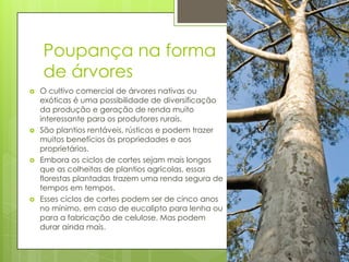 Poupança na forma
de árvores








O cultivo comercial de árvores nativas ou
exóticas é uma possibilidade de diversificação
da produção e geração de renda muito
interessante para os produtores rurais.
São plantios rentáveis, rústicos e podem trazer
muitos benefícios às propriedades e aos
proprietários.
Embora os ciclos de cortes sejam mais longos
que as colheitas de plantios agrícolas, essas
florestas plantadas trazem uma renda segura de
tempos em tempos.
Esses ciclos de cortes podem ser de cinco anos
no mínimo, em caso de eucalipto para lenha ou
para a fabricação de celulose. Mas podem
durar ainda mais.

 