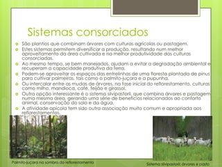 Sistemas consorciados










São plantios que combinam árvores com culturas agrícolas ou pastagem.
Estes sistemas permitem diversificar a produção, resultando num melhor
aproveitamento da área cultivada e na melhor produtividade das culturas
consorciadas.
Ao mesmo tempo, se bem manejados, ajudam a evitar a degradação ambiental e
recuperam a capacidade produtiva da terra.
Podem-se aproveitar os espaços das entrelinhas de uma floresta plantada de pinus
para cultivar palmeiras, tais como o palmito-juçara e a pupunha.
Ou intercalar entre as mudas de árvores, na fase inicial do reflorestamento, culturas
como milho, mandioca, café, feijão e girassol.
Outra opção interessante é o sistema silvipastoril, que combina árvores e pastagem
numa mesma área, gerando uma série de benefícios relacionados ao conforto
animal, conservação do solo e da água.
A atividade apícola tem sido outra associação muito comum e apropriada aos
reflorestamentos.

Palmito-juçara na sombra do reflorestamento

Sistema silvipastoril: árvores e pasto

 