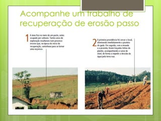 Acompanhe um trabalho de
recuperação de erosão passo
a passo:

 