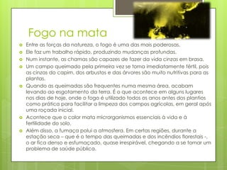 Fogo na mata











Entre as forças da natureza, o fogo é uma das mais poderosas.
Ele faz um trabalho rápido, produzindo mudanças profundas.
Num instante, as chamas são capazes de fazer da vida cinzas em brasa.
Um campo queimado pela primeira vez se torna imediatamente fértil, pois
as cinzas do capim, dos arbustos e das árvores são muito nutritivas para as
plantas.
Quando as queimadas são frequentes numa mesma área, acabam
levando ao esgotamento da terra. É o que acontece em alguns lugares
nos dias de hoje, onde o fogo é utilizado todos os anos antes dos plantios
como prática para facilitar a limpeza dos campos agrícolas, em geral após
uma roçada inicial.
Acontece que o calor mata microrganismos essenciais à vida e à
fertilidade do solo.
Além disso, a fumaça polui a atmosfera. Em certas regiões, durante a
estação seca – que é o tempo das queimadas e dos incêndios florestais -,
o ar fica denso e esfumaçado, quase irrespirável, chegando a se tornar um
problema de saúde pública.

 