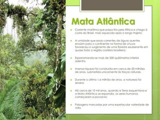 Mata Atlântica


Corrente marítima que passa fria pela África e chega à
costa do Brasil, mais aquecida após o longo trajeto;



A umidade que essas correntes de águas quentes
enviam para o continente na forma de chuva
favoreceu o surgimento de uma floresta exuberante em
quase toda a região costeira brasileira;



Esparramando-se mais de 500 quilômetros interior
adentro.



Imensa riqueza foi construída em cerca de 50 milhões
de anos, submetida unicamente às forças naturais.



Durante o último 1,6 milhão de anos, a natureza foi
severa;



Há cerca de 10 mil anos, quando a Terra esquentava e
a Mata Atlântica se expandia, os seres humanos
começaram a povoá-la;



Paisagens marcadas por uma espetacular variedade de
vida.

 