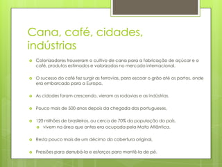 Cana, café, cidades,
indústrias


Colonizadores trouxeram o cultivo de cana para a fabricação de açúcar e o
café, produtos estimados e valorizados no mercado internacional.



O sucesso do café fez surgir as ferrovias, para escoar o grão até os portos, onde
era embarcado para a Europa.



As cidades foram crescendo, vieram as rodovias e as indústrias.



Pouco mais de 500 anos depois da chegada dos portugueses,



120 milhões de brasileiros, ou cerca de 70% da população do país,
 vivem na área que antes era ocupada pela Mata Atlântica.



Resta pouco mais de um décimo da cobertura original,



Pressões para derrubá-la e esforços para mantê-la de pé.

 
