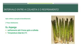 INTERVALO ENTRE A COLHEITA E O RESFRIAMENTO
Após colheita e operações de beneficiamento
1º Passo: Resfriamento
Ex. Aspargo
 resfriamento até 4 horas após a colheita
 Temperatura ideal de 1oC
 