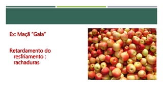 Ex: Maçã “Gala”
Retardamento do
resfriamento :
rachaduras
 
