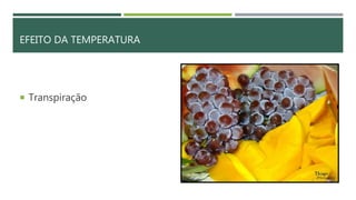 EFEITO DA TEMPERATURA
 Transpiração
 