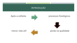 INTRODUÇÃO
Após a colheita processos fisiológicos
menor vida útil perda na qualidade
 