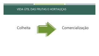 VIDA ÚTIL DAS FRUTAS E HORTALIÇAS
Colheita Comercialização
 