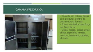 CÂMARA FRIGORÍFICA
 - Consiste em colocar caixas
com produtos dentro de
uma estrutura forrada
 - Possui ventilador para força
um fluxo de ar
 - Citros, maçãs, cereja, uva e
alface, espinafre, tomate,
cenoura, beterraba, cebolas,
alho etc.
 