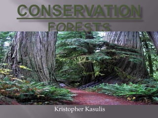 Conservationforests Kristopher Kasulis 