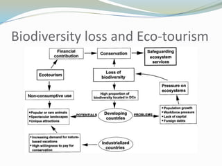 Biodiversity loss and Eco-tourism