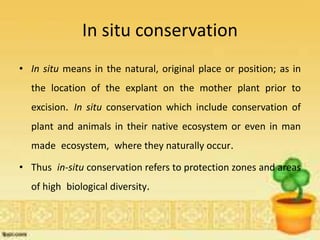 In situ conservation
• In situ means in the natural, original place or position; as in
the location of the explant on the mother plant prior to
excision. In situ conservation which include conservation of
plant and animals in their native ecosystem or even in man
made ecosystem, where they naturally occur.
• Thus in-situ conservation refers to protection zones and areas
of high biological diversity.
 