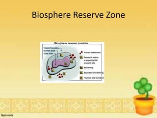 Biosphere Reserve Zone
 