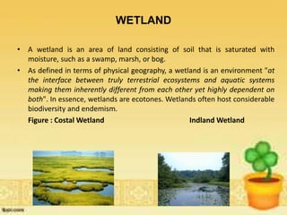 WETLAND
• A wetland is an area of land consisting of soil that is saturated with
moisture, such as a swamp, marsh, or bog.
• As defined in terms of physical geography, a wetland is an environment "at
the interface between truly terrestrial ecosystems and aquatic systems
making them inherently different from each other yet highly dependent on
both". In essence, wetlands are ecotones. Wetlands often host considerable
biodiversity and endemism.
Figure : Costal Wetland Indland Wetland
 