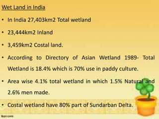 Wet Land in India
• In India 27,403km2 Total wetland
• 23,444km2 Inland
• 3,459km2 Costal land.
• According to Directory of Asian Wetland 1989- Total
Wetland is 18.4% which is 70% use in paddy culture.
• Area wise 4.1% total wetland in which 1.5% Natural and
2.6% men made.
• Costal wetland have 80% part of Sundarban Delta.
 