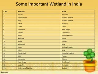 Some Important Wetland in India
S.No. Wetland Place
1. Renuka Himachal
2. Yashwant Sea Madhya Pradesh
3. Bhoj Madhya Pradesh
4. Loktak Manipur
5. Chilka Odissa
6. Sundarban West Bengol
7. Khurana Chandigarh
8. Mular Jammu-Kashmir
9. Naal Lake Gujrat
10. Harike Punjab
11. Ashtamudi Keral
12. Koteru Andhra Pradesh
13. Kabra Bihar
14 Chandrataal Himachal Pradesh
15 Kajali Punjab
16. Rudra Lake Tripura
17. West Bengal East Bengal
18. Magadhi Karnatak
19. Little run of Katcha Gujrat
 