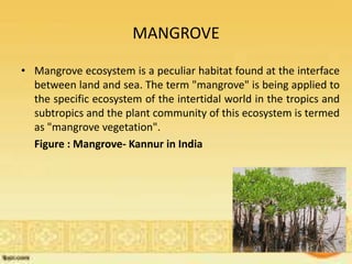 MANGROVE
• Mangrove ecosystem is a peculiar habitat found at the interface
between land and sea. The term "mangrove" is being applied to
the specific ecosystem of the intertidal world in the tropics and
subtropics and the plant community of this ecosystem is termed
as "mangrove vegetation".
Figure : Mangrove- Kannur in India
 