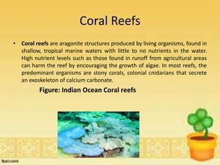 Coral Reefs
• Coral reefs are aragonite structures produced by living organisms, found in
shallow, tropical marine waters with little to no nutrients in the water.
High nutrient levels such as those found in runoff from agricultural areas
can harm the reef by encouraging the growth of algae. In most reefs, the
predominant organisms are stony corals, colonial cnidarians that secrete
an exoskeleton of calcium carbonate.
Figure: Indian Ocean Coral reefs
 