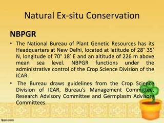 Natural Ex-situ Conservation
NBPGR
• The National Bureau of Plant Genetic Resources has its
Headquarters at New Delhi, located at latitude of 28° 35’
N, longitude of 70° 18’ E and an altitude of 226 m above
mean sea level. NBPGR functions under the
administrative control of the Crop Science Division of the
ICAR.
• The Bureau draws guidelines from the Crop Science
Division of ICAR, Bureau’s Management Committee,
Research Advisory Committee and Germplasm Advisory
Committees.
 